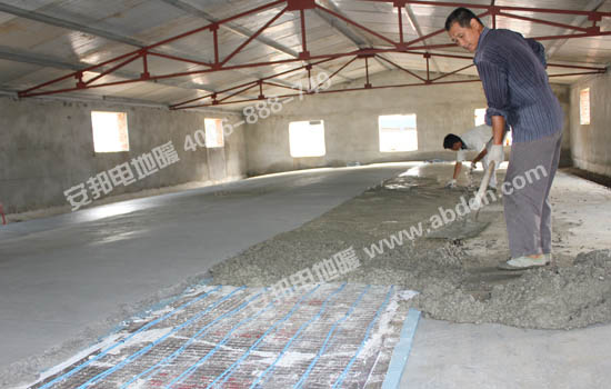 ������������w�l����|��s5-6CM���ɣ�