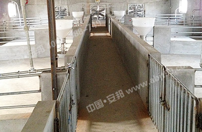 �����B(y��ng)ֳ���Ȳ��ֲ�