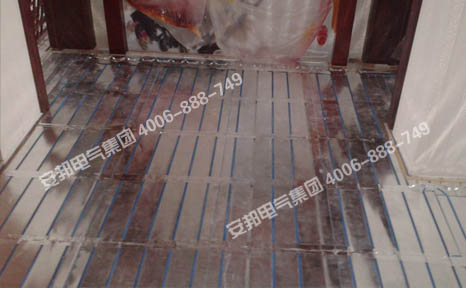 �ߵ��l����|���b�D