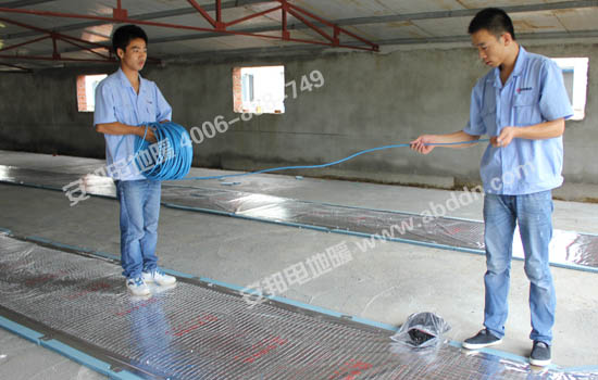 ��O�z�y�����İl����|