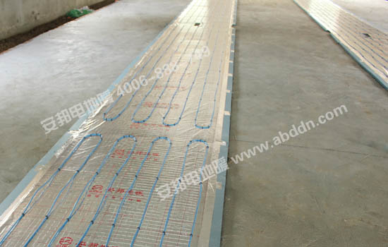 �l����|��O�ꮅ