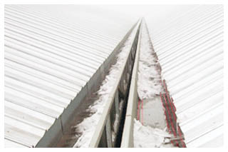 �����ѩ����